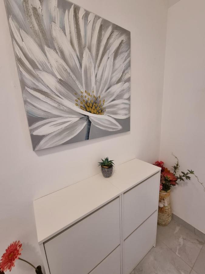 Apartments Lili 비오그라드나모루 외부 사진